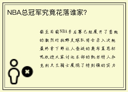 NBA总冠军究竟花落谁家？